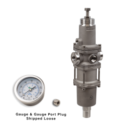 NACE Filter Regulator, 1/4"NPT, 5 micron, SST w/Gauge