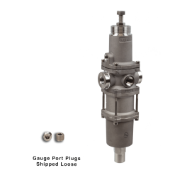 NACE Filter Regulator, 1/4"NPT, 5 micron, SST