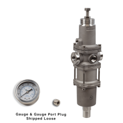 NACE Filter Regulator, 1/2"NPT, 25 micron, SST w/Gauge