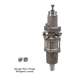 NACE Filter Regulator, 1/2"NPT, 25 micron, SST
