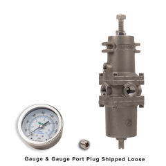 Filter Regulator, 1/4"NPT, 25 micron PE, SST w/Gauge