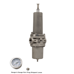 NACE Regulator, 1"NPT, SST w/Gauge